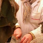 Ris de veau braisés au madère et morilles : la recette gastronomique des grands soirs